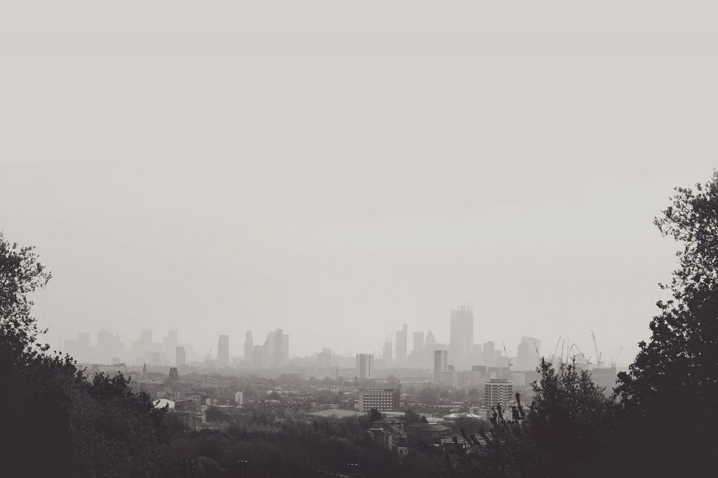 hampstead heath