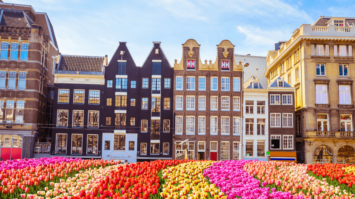 Best Places To Stay In Amsterdam: A Handy Guide