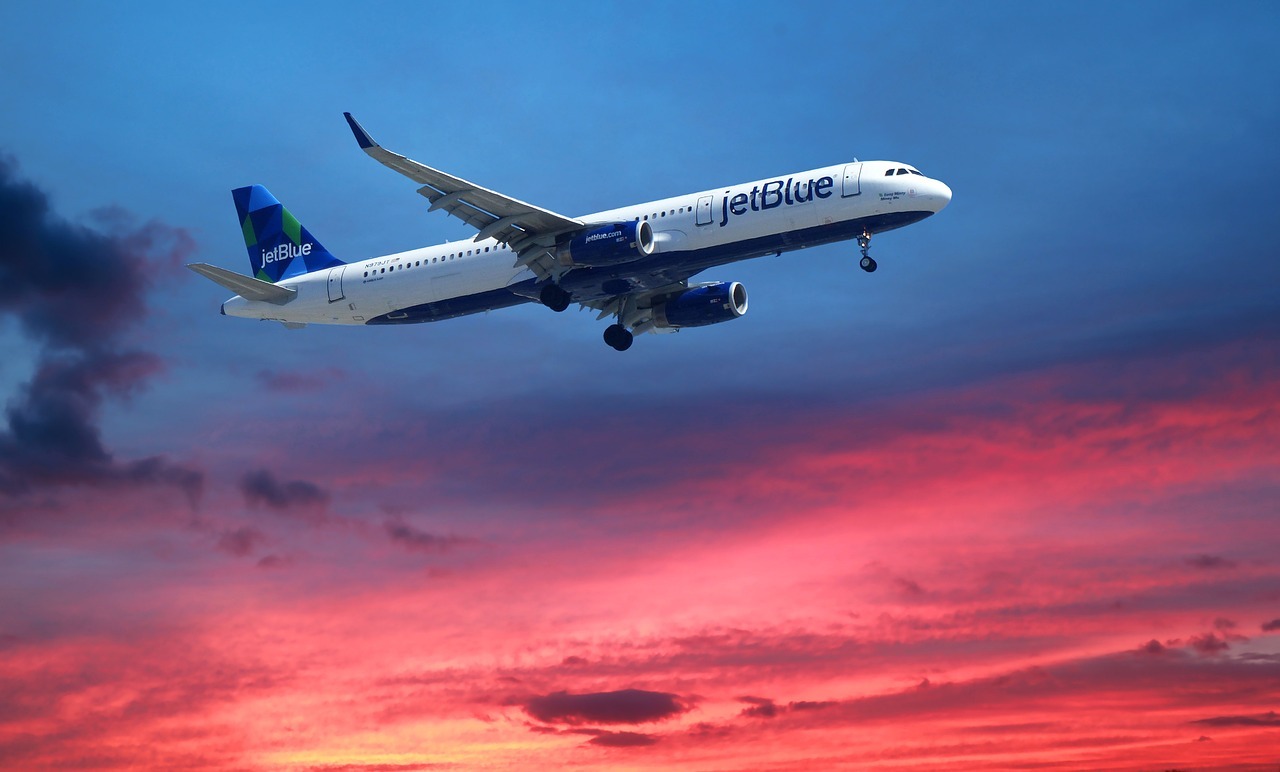 7 Cool Things to Do Near Fort Lauderdale Airport in 2024